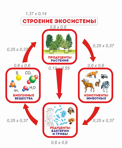 Стенды-декорации для детского сада купить с доставкой